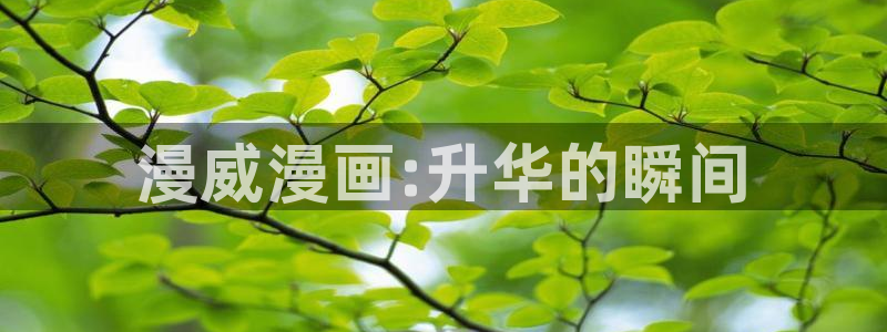 香蕉文化漫画动画小说