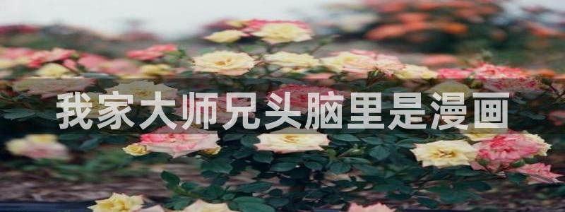 香蕉小说漫画：我家大师兄头脑里是漫画