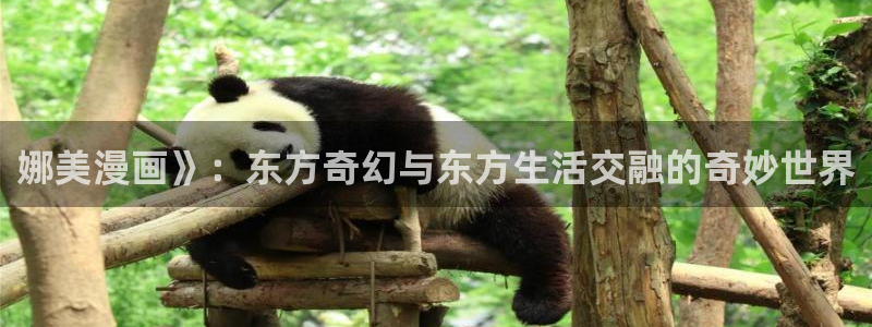 香蕉漫画书：娜美漫画》：东方奇幻与东方生活交融的奇妙世界