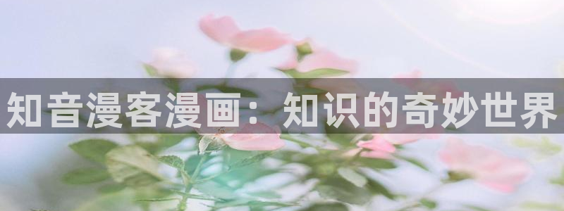 香蕉文化漫画动画小说