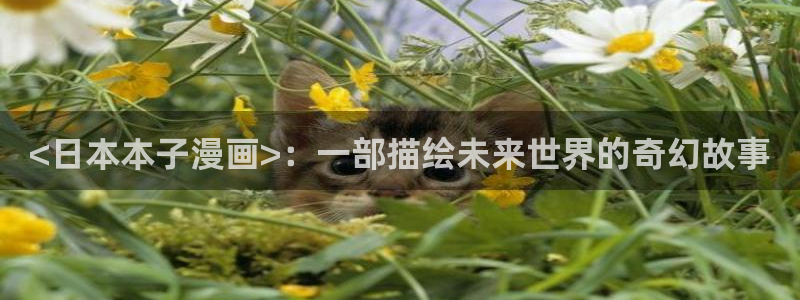 www.香蕉漫画.com