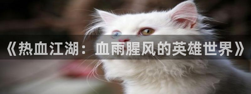 香蕉文化—漫画小说更新快内容
